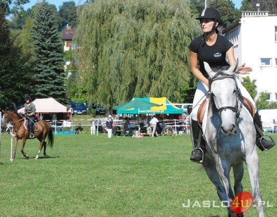 IX Piknik z Konikiem Polskim fot. Ilona Czarnecka