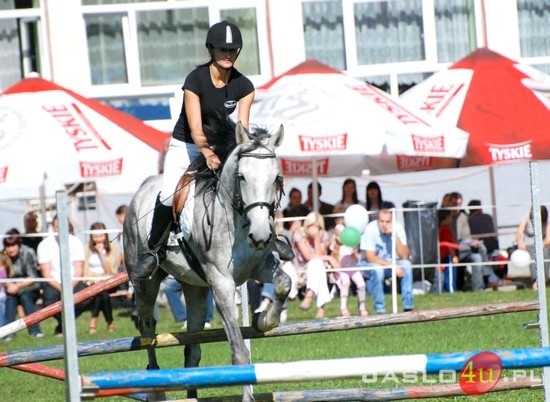 IX Piknik z Konikiem Polskim fot. Ilona Czarnecka