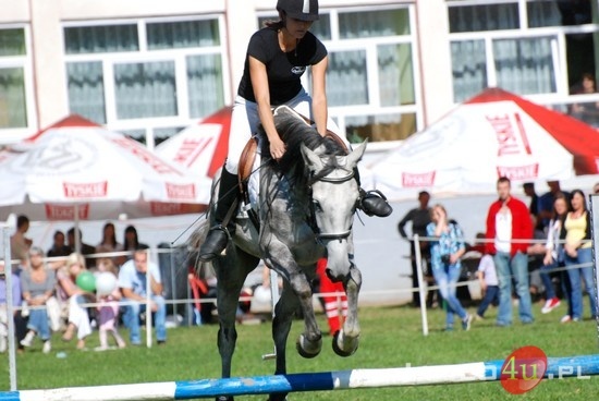 IX Piknik z Konikiem Polskim fot. Ilona Czarnecka