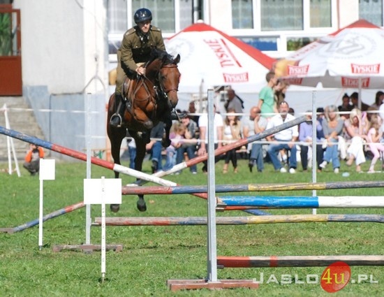 IX Piknik z Konikiem Polskim fot. Ilona Czarnecka