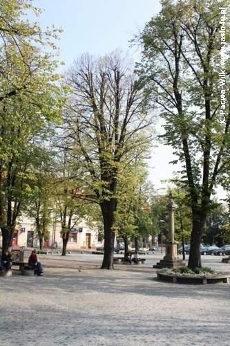 Jasielski Rynek bez drzew...