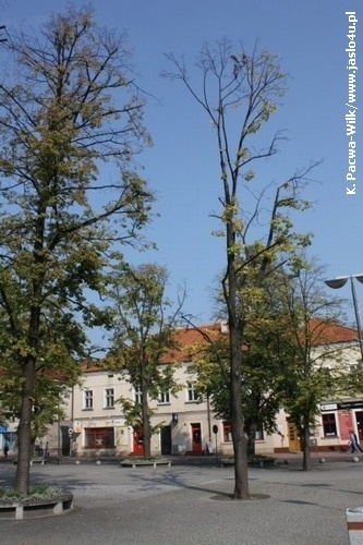 Jasielski Rynek bez drzew...