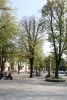 Jasielski Rynek bez drzew...