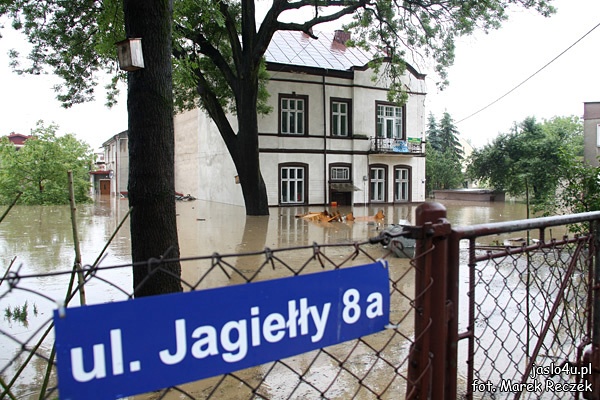 Jasło 4/5-06-2010 Fot. M. Reczek