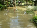 Jasło znowu pod wodą - 27-28.06.2009
