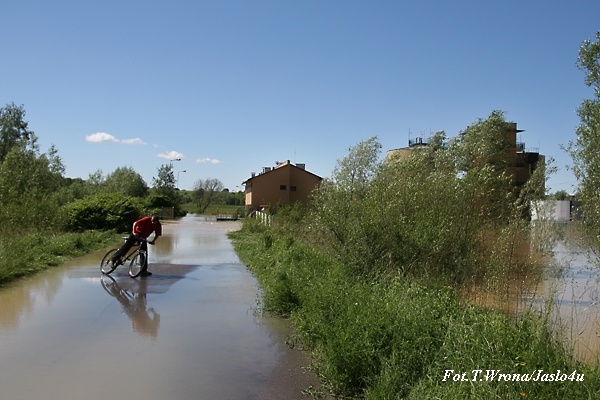 Jasło/Kołaczyce 05.06.2010 T. Wrona