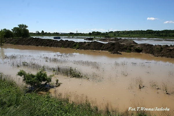 Jasło/Kołaczyce 05.06.2010 T. Wrona