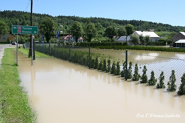Jasło/Kołaczyce 05.06.2010 T. Wrona