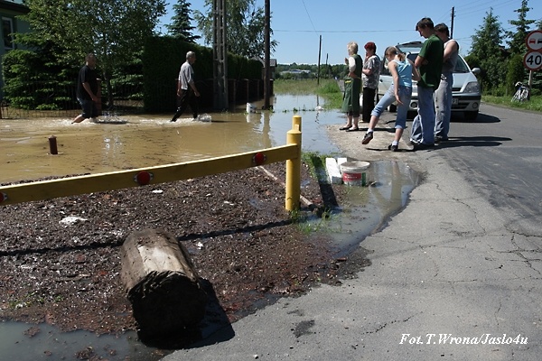 Jasło/Kołaczyce 05.06.2010 T. Wrona