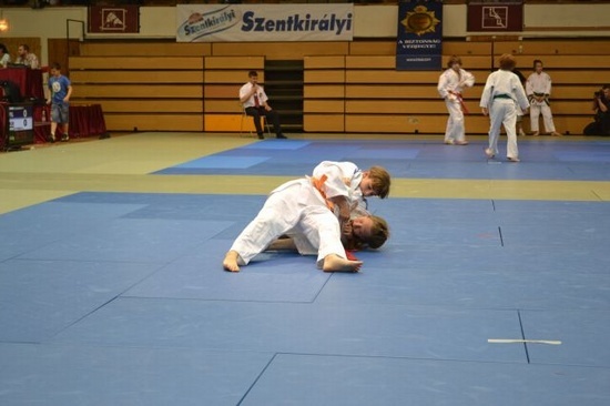 Judocy na eliminacjach w Budapeszcie