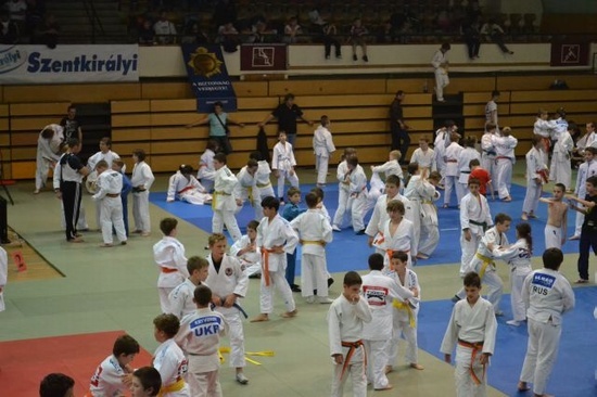 Judocy na eliminacjach w Budapeszcie