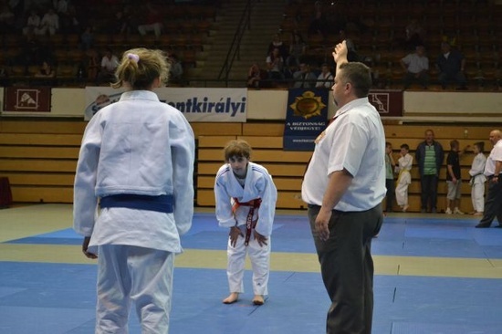 Judocy na eliminacjach w Budapeszcie
