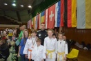 Judocy na eliminacjach w Budapeszcie