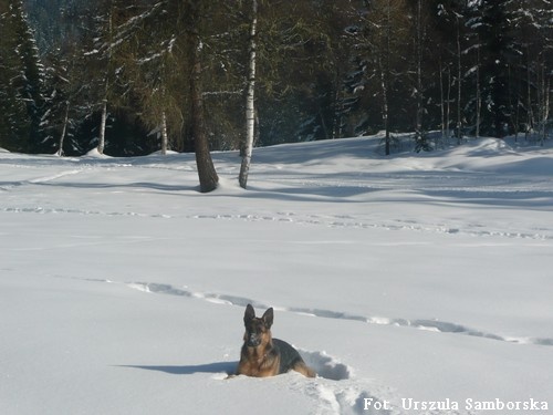 Kolejne natarcie zimy 2009/2010