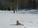 Kolejne natarcie zimy 2009/2010