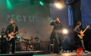 Koncert Grupy Pectus fot. Marek Dybaś