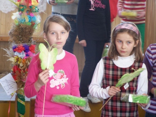 Konkurs na najpiękniejszą palmę