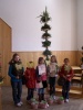 Konkurs na najpiękniejszą palmę