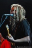 Maleo reggae rockers