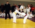 Międzynarodowe Zawody w Judo