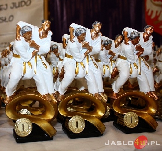 Międzynarodowy Turniej Judo w Jaśle