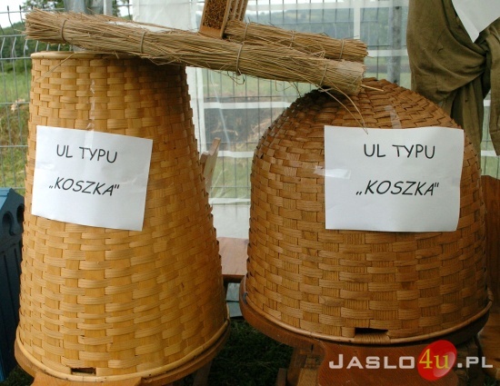 Miodobranie w Kołaczycach fot. Marek Dybaś