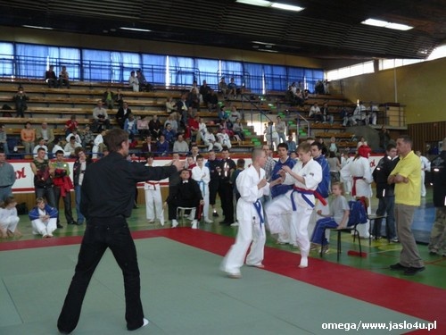 Mistrzostwa Podkarpacia Kyokushin Karate