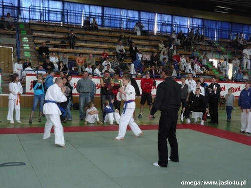 Mistrzostwa Podkarpacia Kyokushin Karate