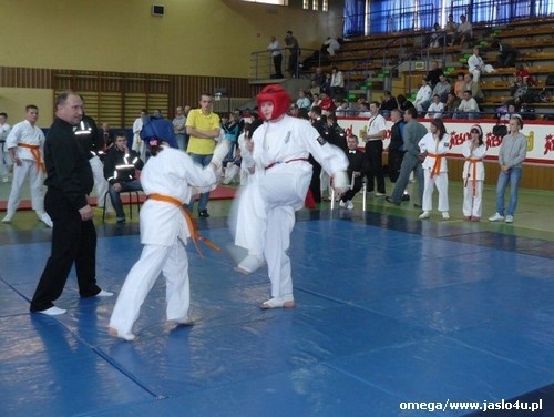 Mistrzostwa Podkarpacia Kyokushin Karate