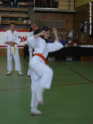 Mistrzostwa Podkarpacia Kyokushin Karate