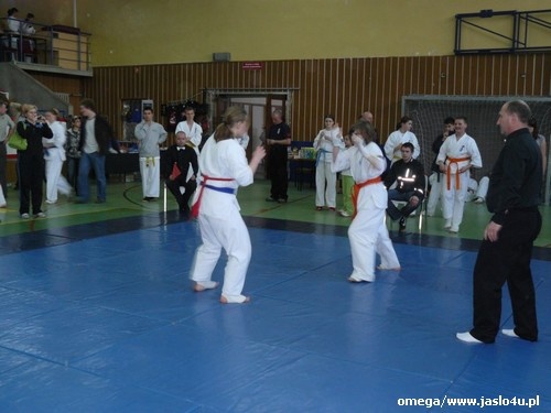 Mistrzostwa Podkarpacia Kyokushin Karate