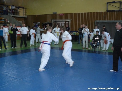 Mistrzostwa Podkarpacia Kyokushin Karate