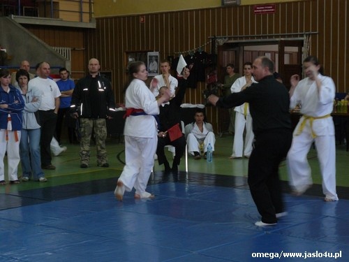 Mistrzostwa Podkarpacia Kyokushin Karate