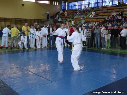 Mistrzostwa Podkarpacia Kyokushin Karate