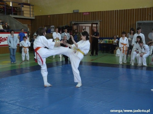 Mistrzostwa Podkarpacia Kyokushin Karate