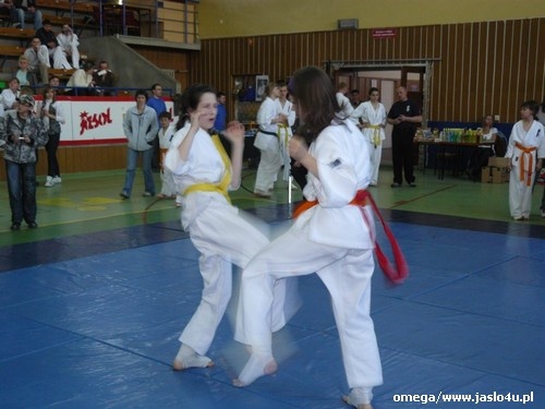 Mistrzostwa Podkarpacia Kyokushin Karate