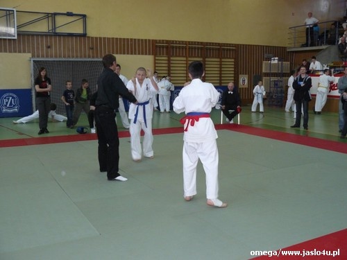Mistrzostwa Podkarpacia Kyokushin Karate