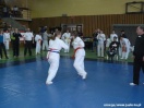 Mistrzostwa Podkarpacia Kyokushin Karate