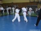 Mistrzostwa Podkarpacia Kyokushin Karate