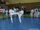Mistrzostwa Podkarpacia Kyokushin Karate