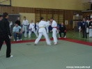 Mistrzostwa Podkarpacia Kyokushin Karate