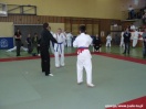 Mistrzostwa Podkarpacia Kyokushin Karate