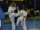 Mistrzostwa Podkarpacia Kyokushin Karate