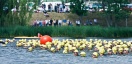 Mistrzostwa Polski w trathlonie