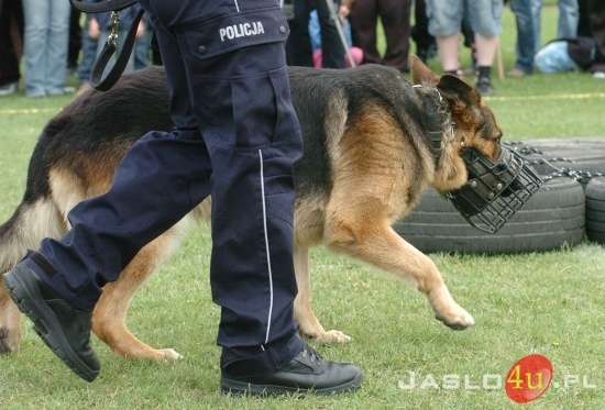 Munduriada 2011-fot.Marek Dybaś