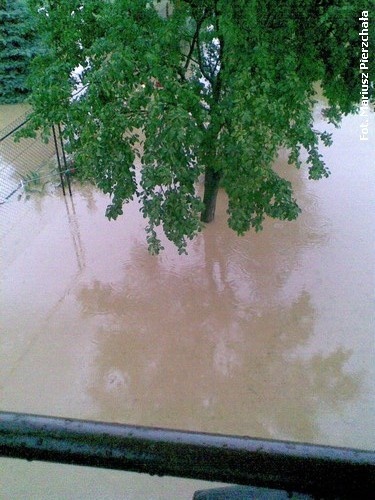 Nawałnica Jasło i okolice - 26.06.2009