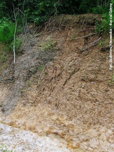 Nawałnica Jasło i okolice - 26.06.2009