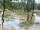 Nawałnica Jasło i okolice - 26.06.2009