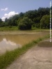 Nawałnica Jasło i okolice - 26.06.2009