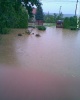 Nawałnica Jasło i okolice - 26.06.2009